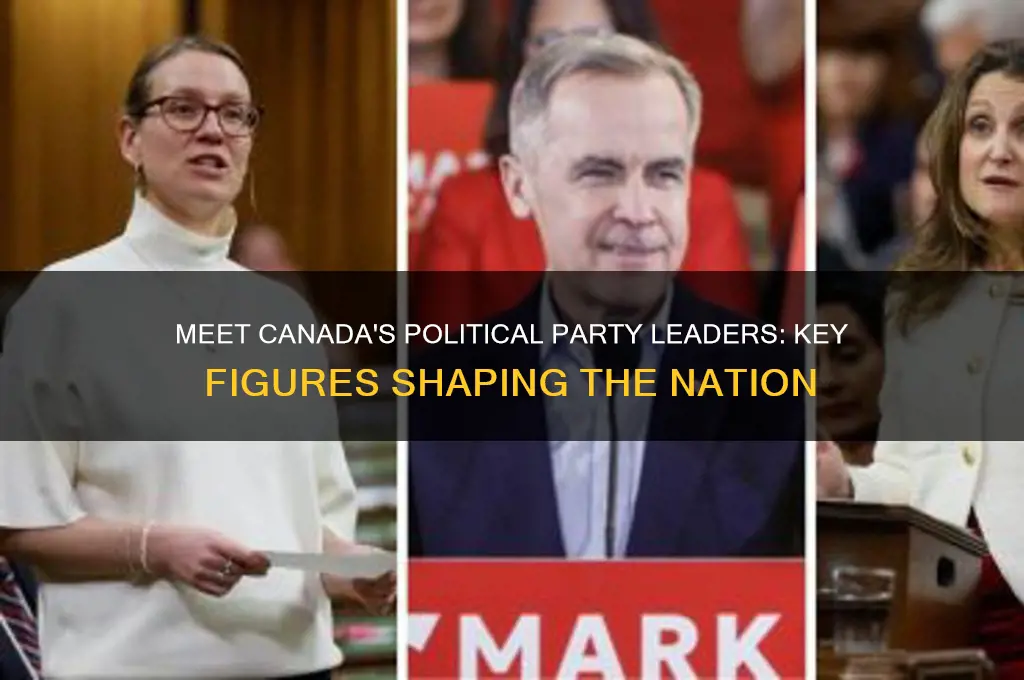 who are the leaders of the political parties in canada