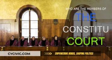 The Constitutional Court: Members and Their Roles