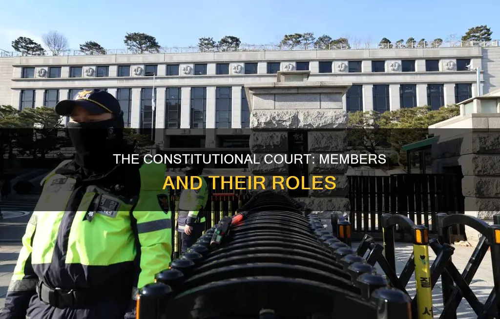 who are the members of the constitutional court