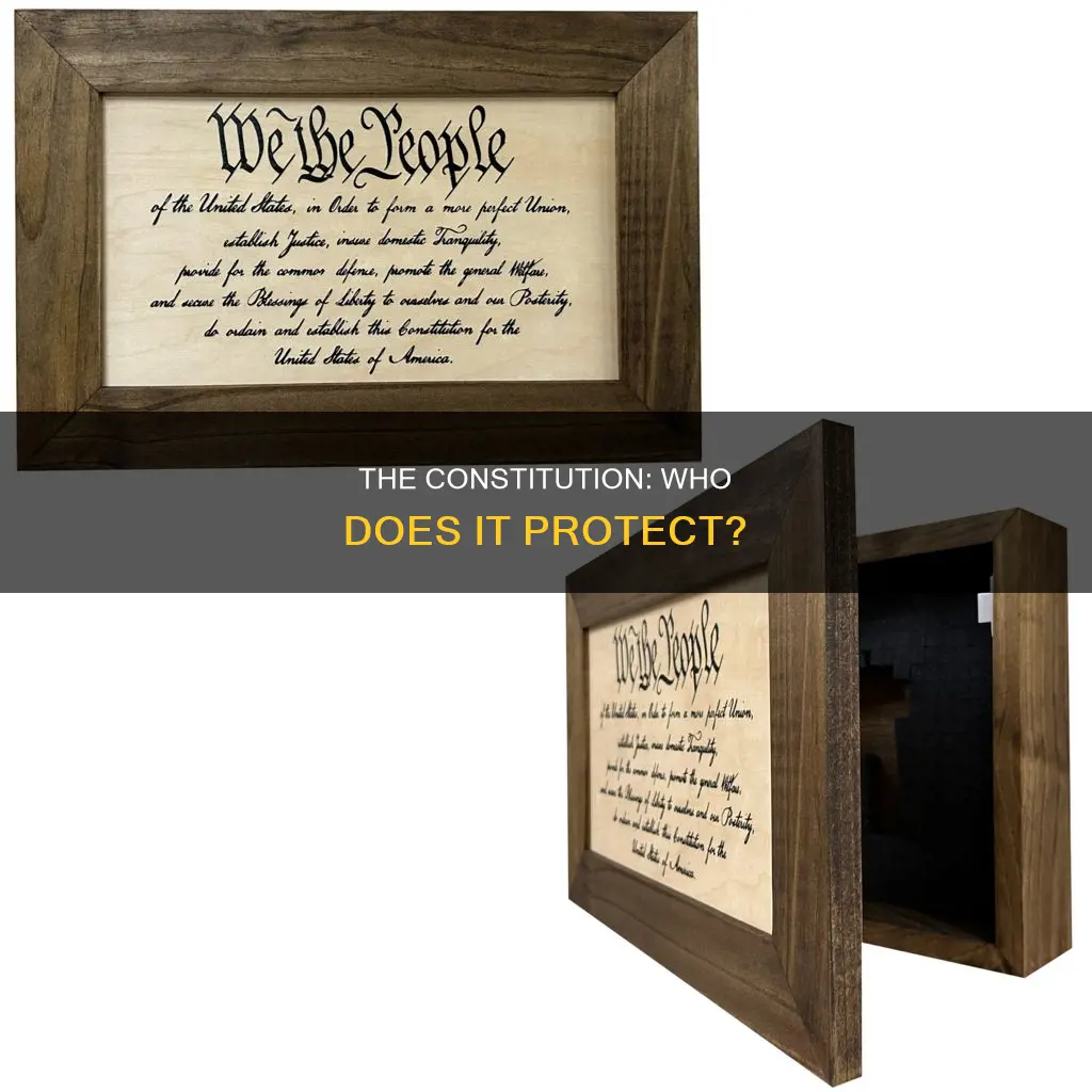 who are the people the constitution applies to