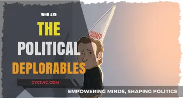 Unveiling the Political Deplorables: Understanding a Divisive Label's Impact