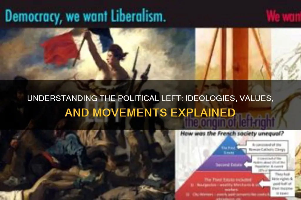 who are the political left