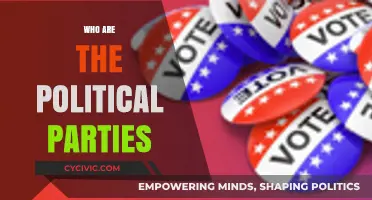 Understanding Political Parties: Roles, Ideologies, and Influence in Democracy