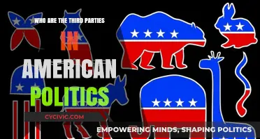 Exploring the Role of Third Parties in American Political Landscape