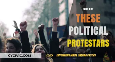 Unveiling the Faces: Understanding Political Protesters and Their Motivations