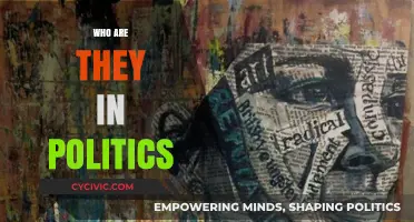 Unveiling Political Identities: Who Are They and What Drives Them?