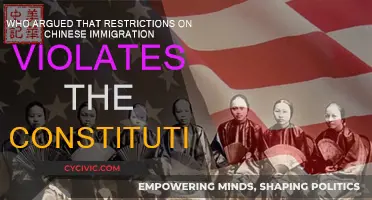 Chinese Immigration: A Constitutional Debate