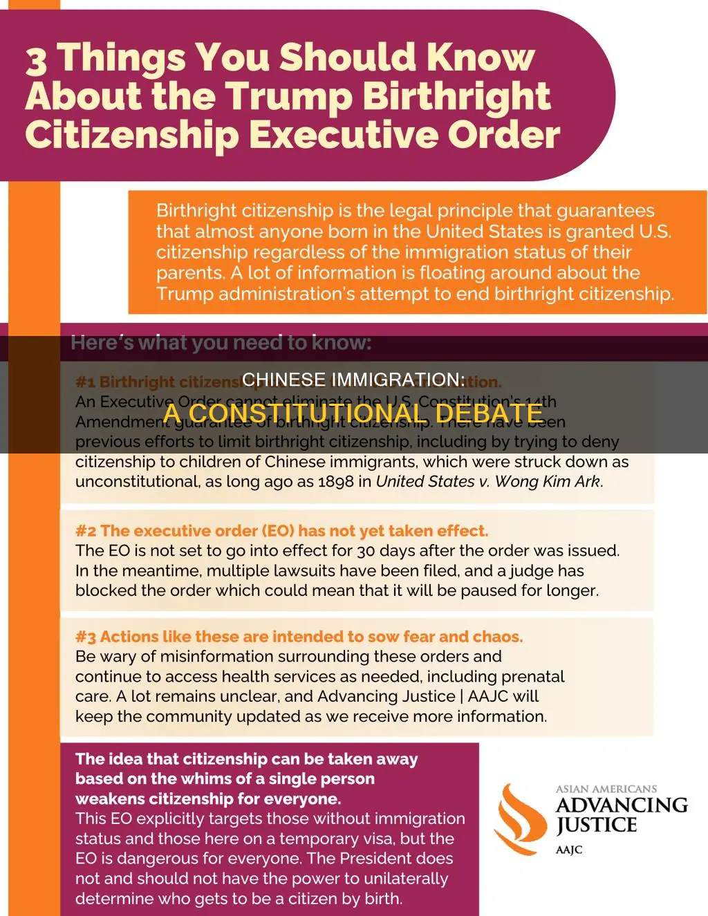 who argued that restrictions on chinese immigration violates the constitution