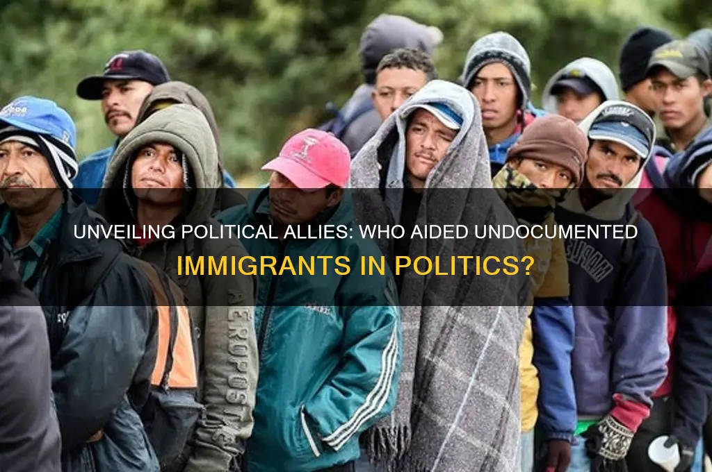 who assisted illegals in politics