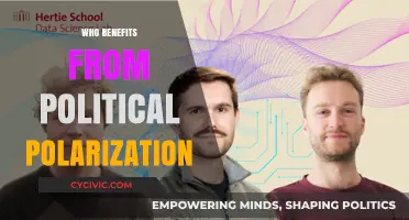 Polarized Politics: Who Gains from America's Divisive Political Climate?