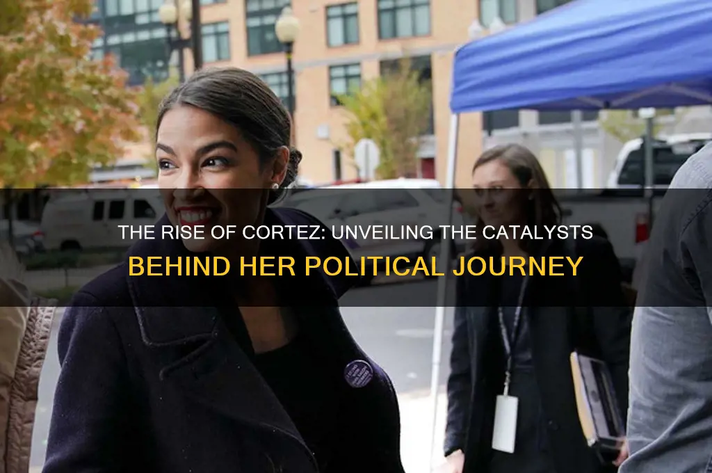 who brought cortez into politics