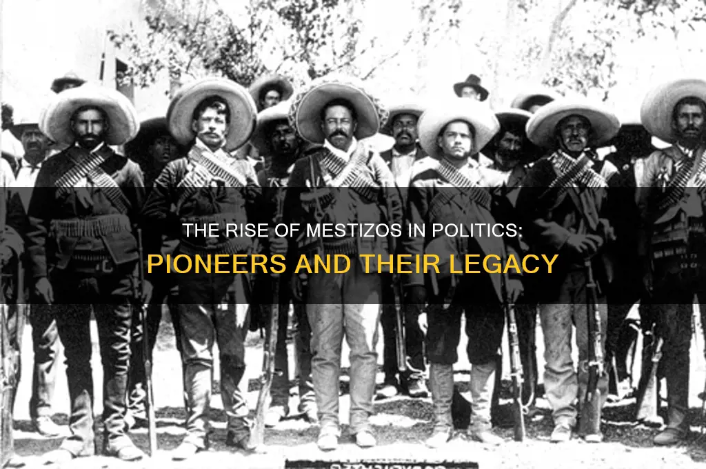 who brought mestizos into politics