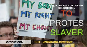 Abolitionist's Protest: Burning Constitution to Eradicate Slavery