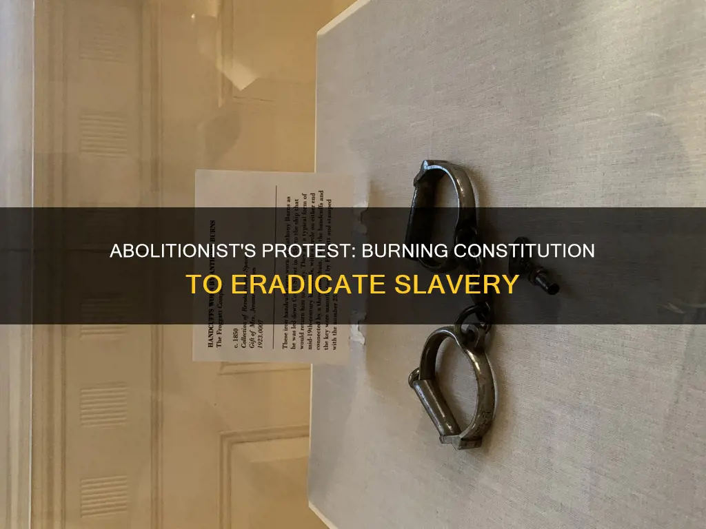 who burned a copy of the constitution to protest slavery