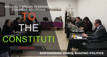 Special Sessions of Congress: Who Calls the Shots?