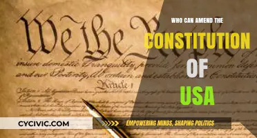 Amending the US Constitution: Who Has the Power?