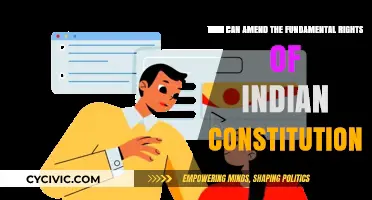 Amending Fundamental Rights: Who Holds the Power?