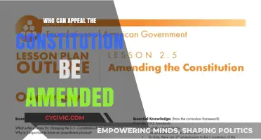 Amending the Constitution: Who Can Appeal?