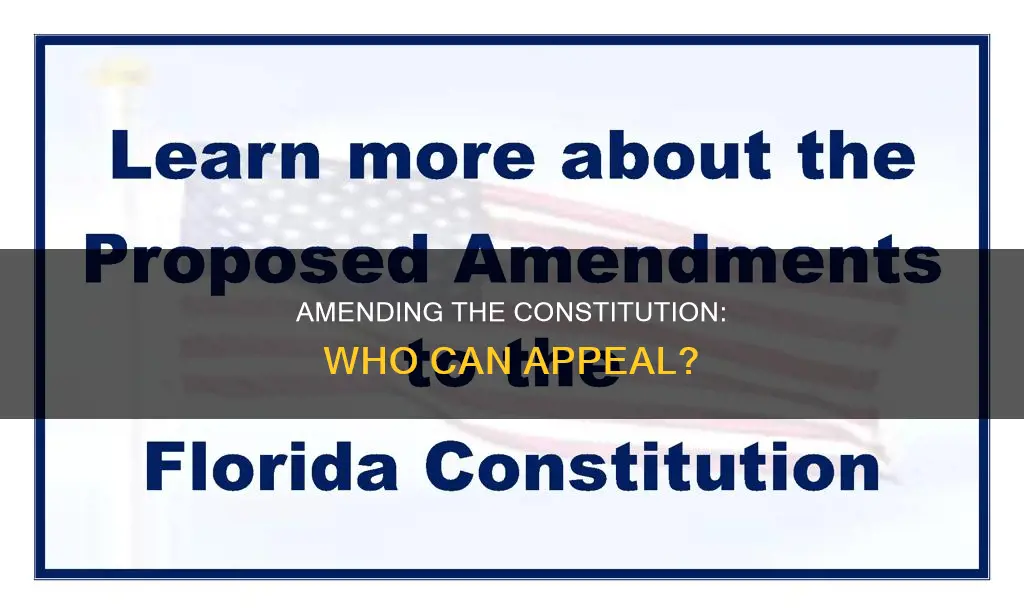 who can appeal the constitution be amended