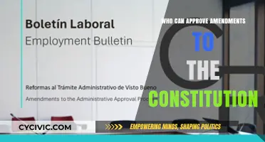 Amendments: Who Has the Power to Approve?