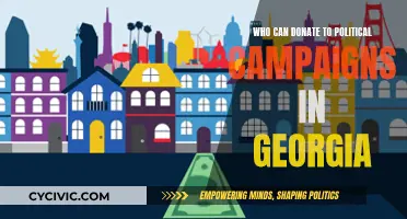 Donating to Political Campaigns in Georgia: Who's Allowed?