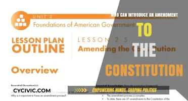 Amending the Constitution: Who Can Propose Changes?