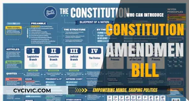 Introducing Constitutional Amendment Bills: Who Has the Power?