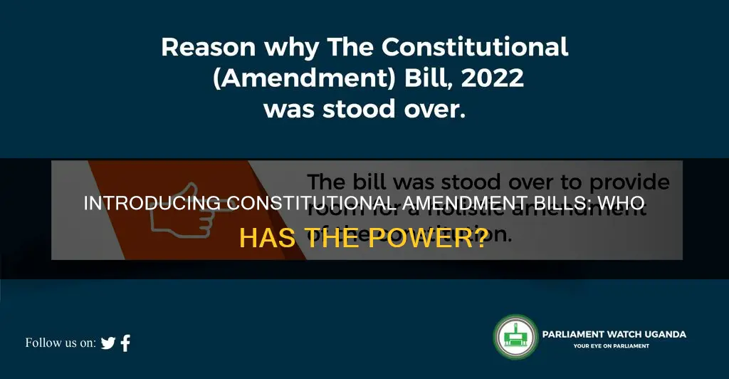 who can introduce constitutional amendment bill