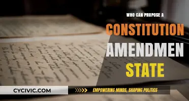 Amending the Constitution: State Proposers
