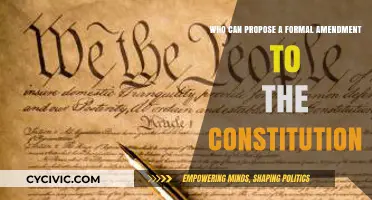 Amending the Constitution: Who Can Propose Changes?