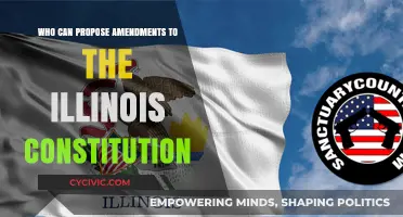 Illinois Constitution Amendments: Who Proposes Changes?