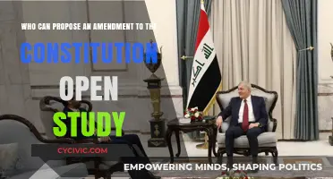 Amending the Constitution: Who Can Propose Changes?