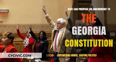 Who Can Propose Amendments to Georgia's Constitution?