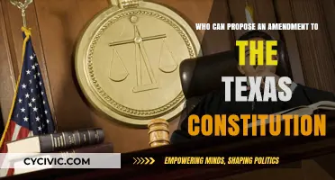 Texas Constitution Amendments: Who Proposes Changes?