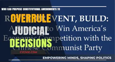 Amending the Constitution: Judicial Overrule