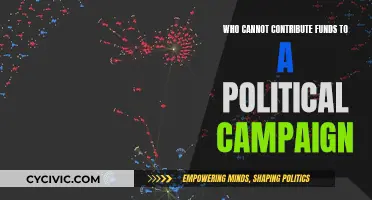 Who Should Stay Away From Political Campaign Funding?