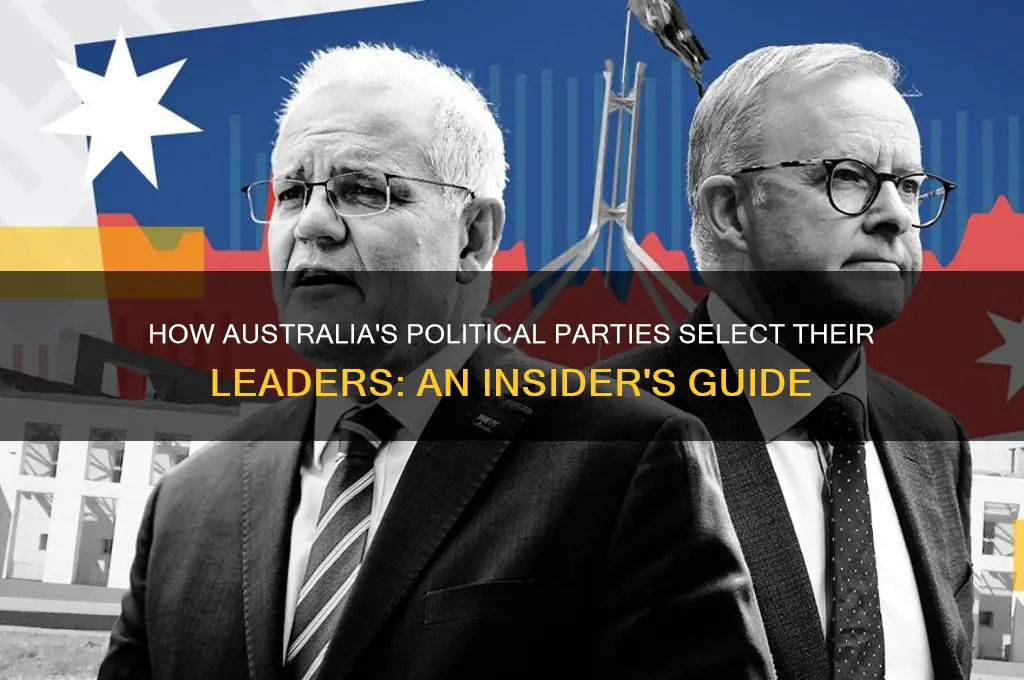 who chooses the leader of a political party in australia