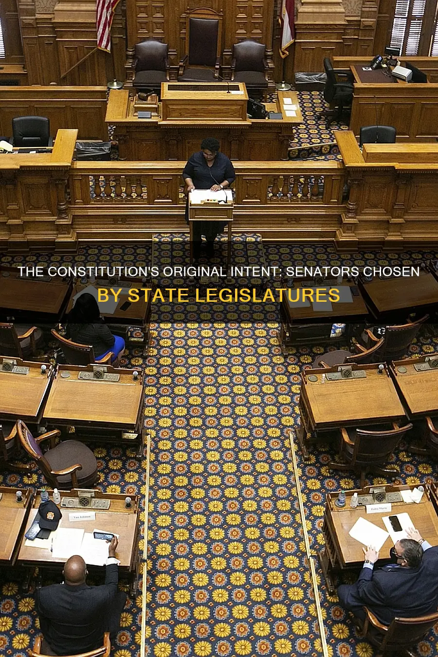 who chose the senators in the original constitution