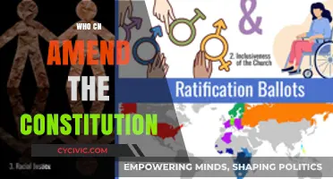 Amending the Constitution: Who Holds the Power?