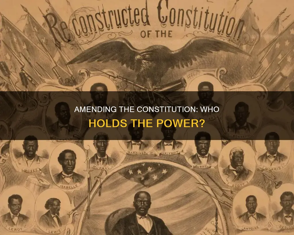 who cn amend the constitution