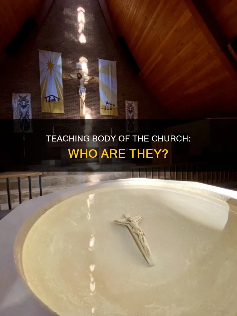 who constitute the teaching body of the church