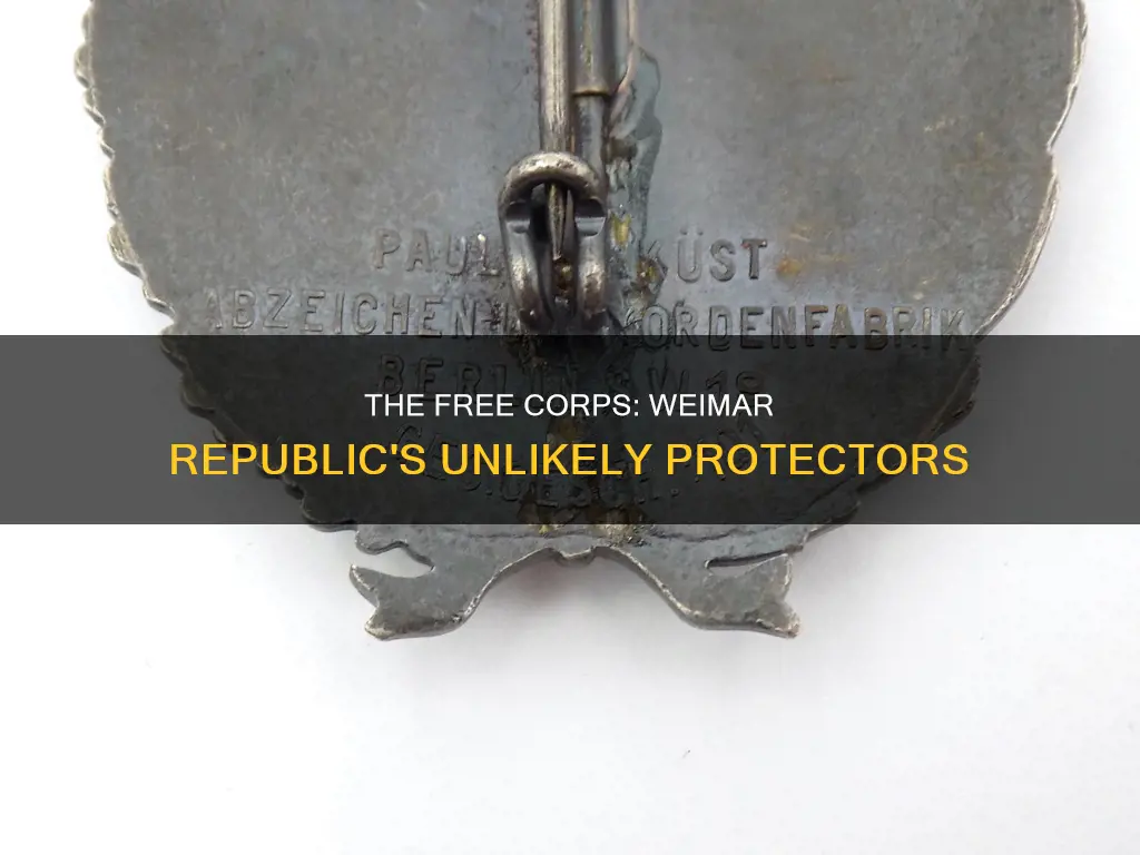 who constituted the free corps in weimar republic
