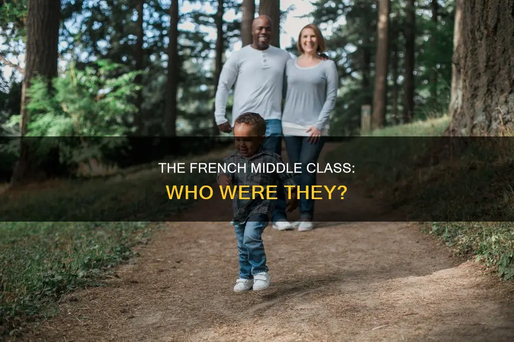 who constituted the middle class in the french society
