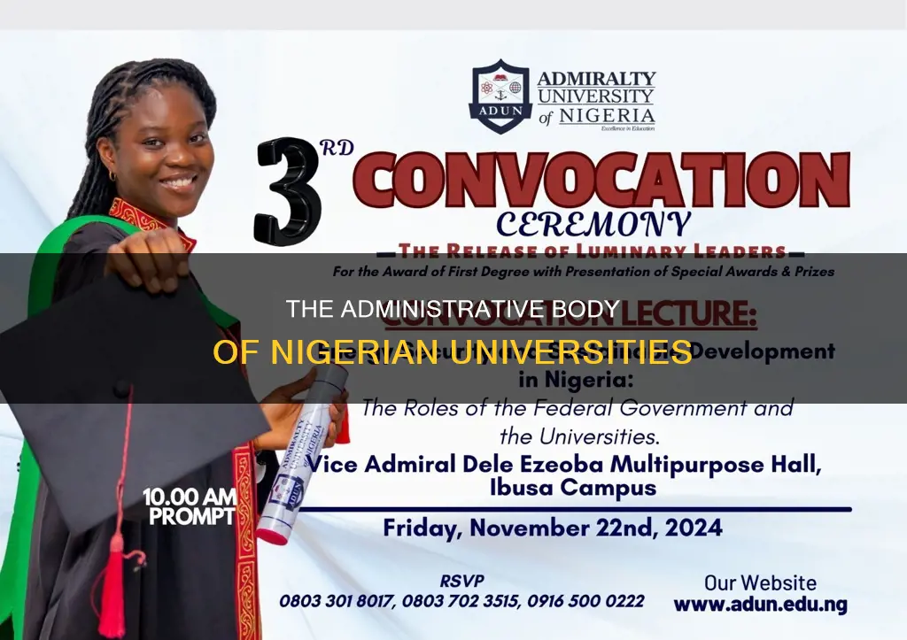 who constitutes the afministrative body of a university in nigeria