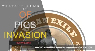 Bay of Pigs: Who Were the Main Players?