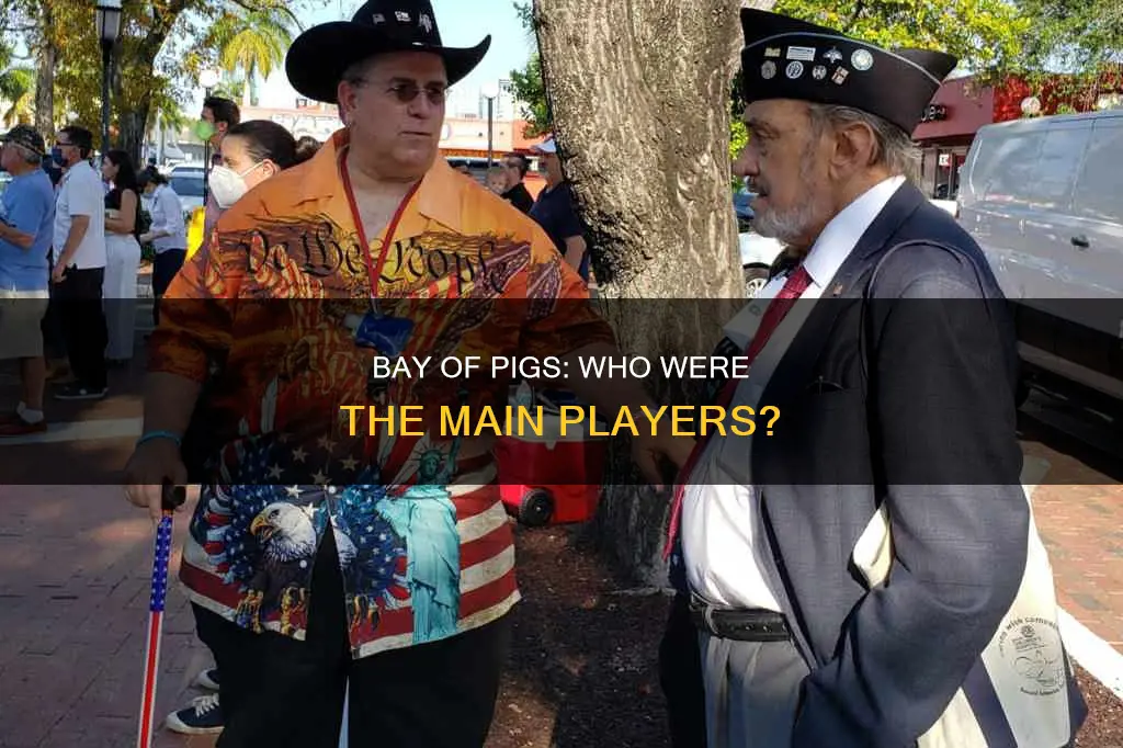 who constitutes the bulk of the bay of pigs invasion