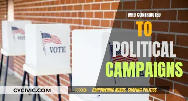 Political Campaign Contributions: Who's Funding the Race?