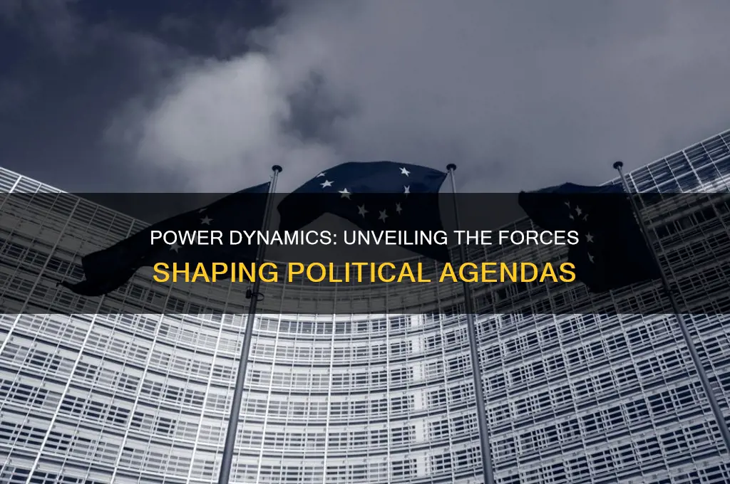 who controls the political agenda