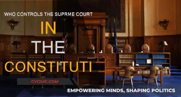The Supreme Court: Constitutional Control
