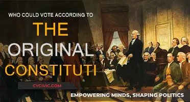 The Original Constitution: Voting Rights and Privileges